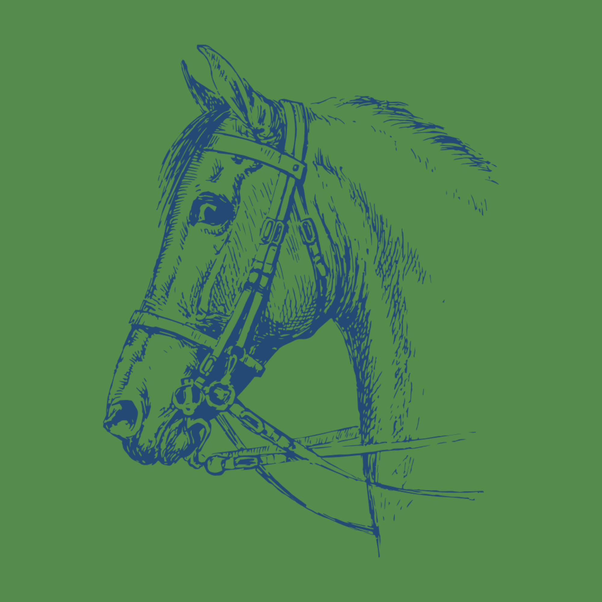 Vanderhoef Designs